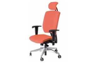 Daktilo stolica R/D 01